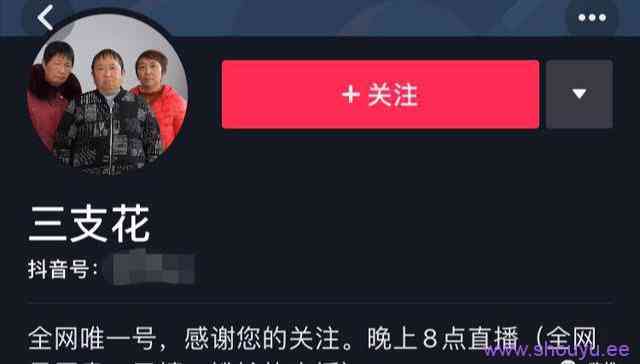 抖音 “山支花”涨粉400W成功翻红！你还记得她们吗？