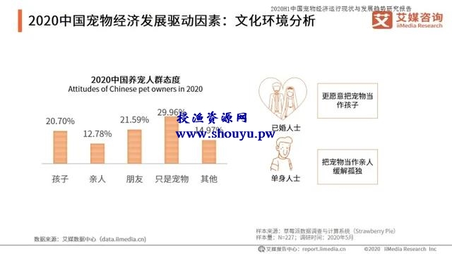 如何打造宠物行业细分领域的暴利项目！