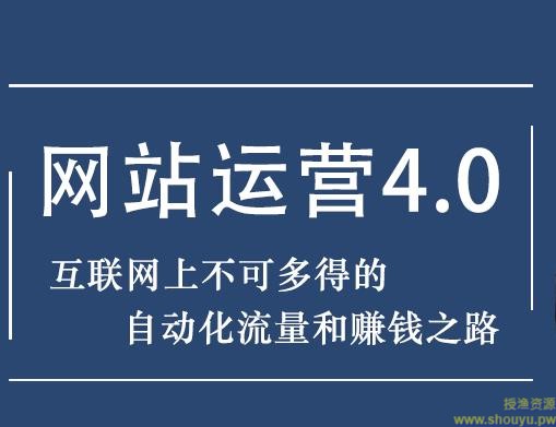 暴疯团队网站赚钱项目4.0网站运营与盈利，实现流量与盈利自动化的赚钱之路