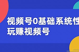 视频号0基础系统性玩赚视频号内容运营+引流+快速变现（20节课）