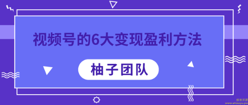 视频号的6大变现盈利方法，每一种做到极致都能年赚100W+【视频课程】