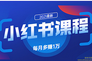 九京小红书精准引流课程1.0：如何利用小红书快速获取客源，每月多赚1万！