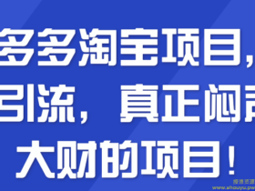 拼多多淘宝项目，无需引流，真正闷声发大财的项目！【视频教程】