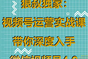 狼叔独家：视频号运营实战课，带你深度入手微信视频号4.0